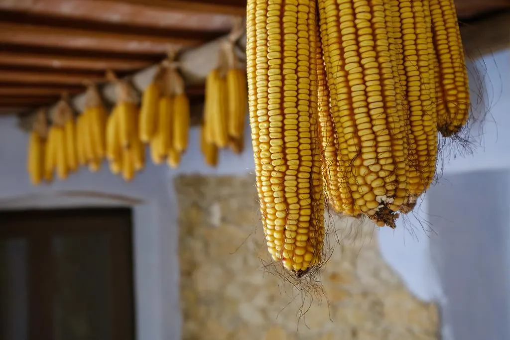 Can Barnosell Llaviá 0*,  España